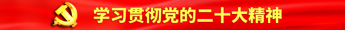 大鸡巴操小逼舔你逼视频认真学习贯彻落实党的二十大会议精神